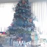 Kimberly hunt's Christmas tree from Palm Bay, Florida 