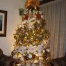Amazing Tampico 2017's Christmas tree from Mexico