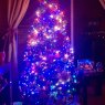 Castro Riveros 's Christmas tree from Valparaiso , Chile 