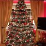 Weihnachtsbaum von Damian Smith (Dublin, Ireland)