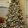 Agnes Ramos's Christmas tree from Belle Glade, FL, USA
