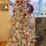 Ashlyn McBee 's Christmas tree from West Virginia, USA 