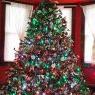 Árbol de Navidad de Bendahan Family Tree  (Lakewood, OH, USA)