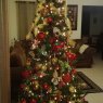 Maria Eugenia Gomez's Christmas tree from Panama, Chorrera, Montelimar