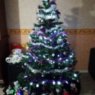 FREZARD sonia's Christmas tree from Mathay, France