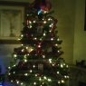 Árbol de Navidad de Lori carles (Lancaster,ca)