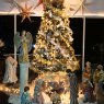TONY RODARTE's Christmas tree from POMONA, CA. USA