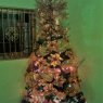 Iraida de Castillo's Christmas tree from San Jose de Guanipa, Anz. Venezuela