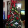 Silvana's Christmas tree from Uruguay 