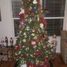 The Hanel Family's Christmas tree from San Antonio, TX