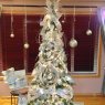 Patricia Dean's Christmas tree from Pasco, Wa