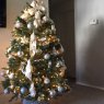 Chad and Angelique 's Christmas tree from Las Vegas, NV, USA