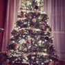 Árbol de Navidad de My new tree (mississauga, ON, CANAD)