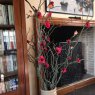 Bedri Kayabal's Christmas tree from Istanbul, Turkey