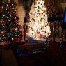 Árbol de Navidad de Wendy Smith (Texas)