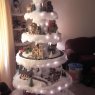 Weihnachtsbaum von Tom Dorff (Peshtigo WI, USA)