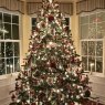 Árbol de Navidad de Edward (Zack) Plue-Campbell (East Stroudsburg, PA)