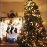 Liz Petsakos's Christmas tree from Wellington New Zealand 
