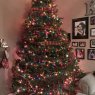 Shirreene Smith's Christmas tree from USA