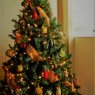 Erick Amaya's Christmas tree from El Salvador