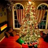 Keyonda Smith's Christmas tree from Washington, D.C.