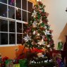 Manuell Sandoval's Christmas tree from Guatemala
