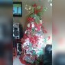 Indira Barroso's Christmas tree from Chorrera, Panama