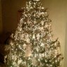 Tom's Christmas tree from Brooklyn, New York, USA