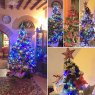 Forisportam's Christmas tree from Lucca