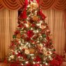 Bond's Christmas tree from Wilmington Delaware
