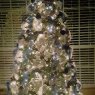 Erik H.'s Christmas tree from McGregor, TX, USA 