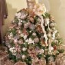 Bond Toler 's Christmas tree from New Castle Delaware