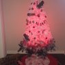 Amanda H. 's Christmas tree from St. Petersburg, FL