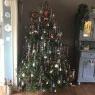 teresa gomes's Christmas tree from hilversum netherlands