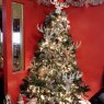 Isabel Garcia 's Christmas tree from Houston 
