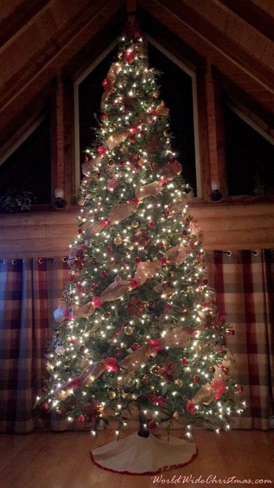 Dupont Cabin Christmas Tree (Newfoundland, Whitbourne )