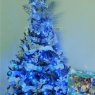 Weihnachtsbaum von Ganett M. Castillo R. (SJDG.Anzoategui, Venezuela)