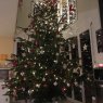Weihnachtsbaum von Eliane (Uri, Schweiz)