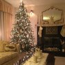 Árbol de Navidad de Sherry (NH USA)