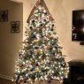 Bri Blythe's Christmas tree from Bedford, Ohio