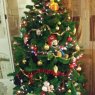 Kodylaky's Christmas tree from Sabadell