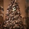 Amber Hawthorne's Christmas tree from Louisiana,  Mo