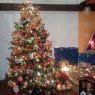 Familia Castro's Christmas tree from Michelena, Venezuela
