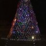 Movimiento Ecologico Gente Consciente 's Christmas tree from Valencia, Venezuela 