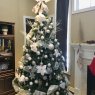 Smitha Varghese 's Christmas tree from Niagara Falls, Ontario, Canada 