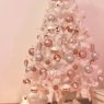Shalini Thanapalasingam's Christmas tree from Paris, France