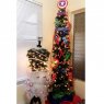 The Crew's Christmas tree from Lake worth,Fl
