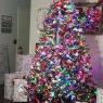 SCOTT HARRISON's Christmas tree from St Augustine fl
