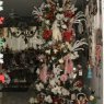 Rose and Ira's Christmas tree from Hollywood, Florida  USA