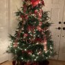 Howdy Partner's Christmas tree from Springville Alabama
